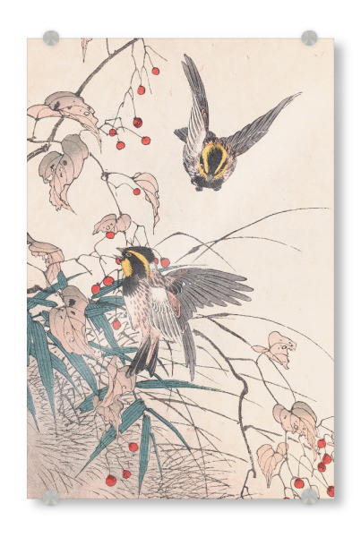 Acrylglasbild "Vögel essen Beeren" artboxONE - Natur,Floral,Tiere - Imao keinen,Vögel,Natur,Beeren,Baum,äste,Japan,Malerei,Gemälde,Kunst,Tiere,Floral