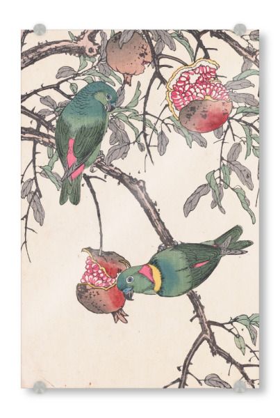 Acrylglasbild "Vögel mit Grapefrüchten" artboxONE - Natur,Floral,Tiere - Imao keinen,Natur,Vögel,Blumen,Ast,Baum,Bunt,Japan,Malerei,Gemälde,Kunst