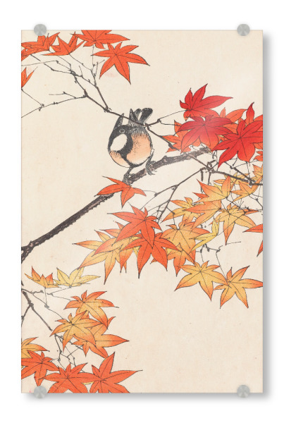 Acrylglasbild "Vogel auf einem Ast im Herbst" artboxONE - Natur,Floral,Tiere - Imao keinen,Japan,Malerei,Gemälde,Kunst,Natur,Blätter,Vogel,Ast,Baum