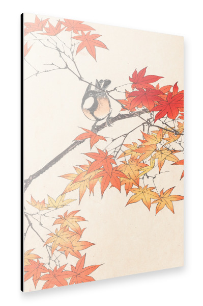 Alu-Dibond "Vogel auf einem Ast im Herbst" 30x20 cm artboxONE