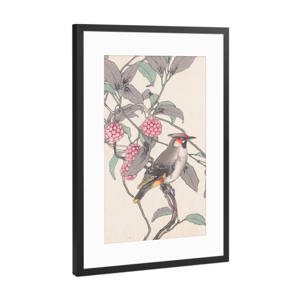 Poster mit Rahmen Schwarz (Metallic) "Vogel mit Himbeeren" artboxONE - Natur,Floral,Tiere
