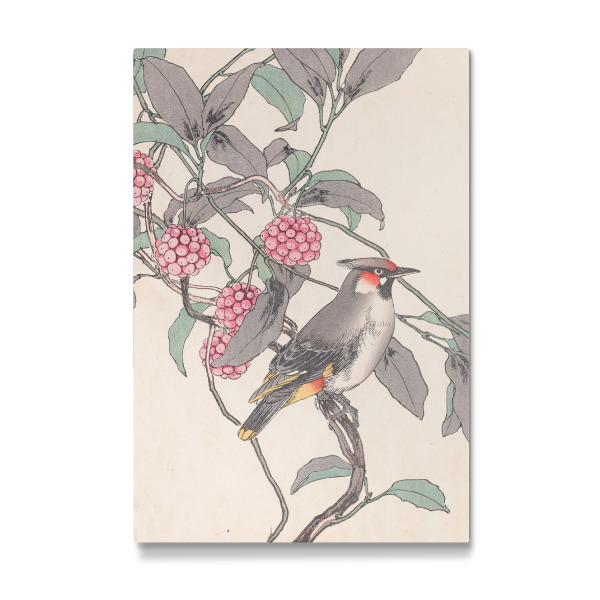 Galerie-Print "Vogel mit Himbeeren" 30x20 cm artboxONE