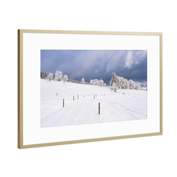 Poster mit Rahmen Gold "Landschaft mit Bäumen und Schnee" artboxONE - Natur,Reise