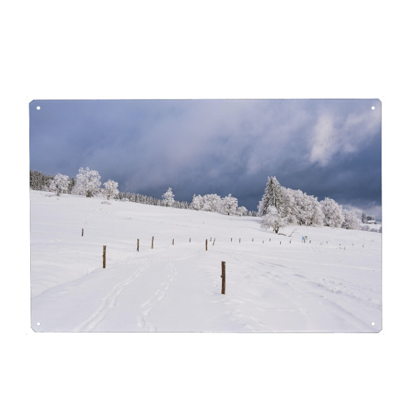 Metall Poster "Landschaft mit Bäumen und Schnee" artboxONE - Natur,Reise