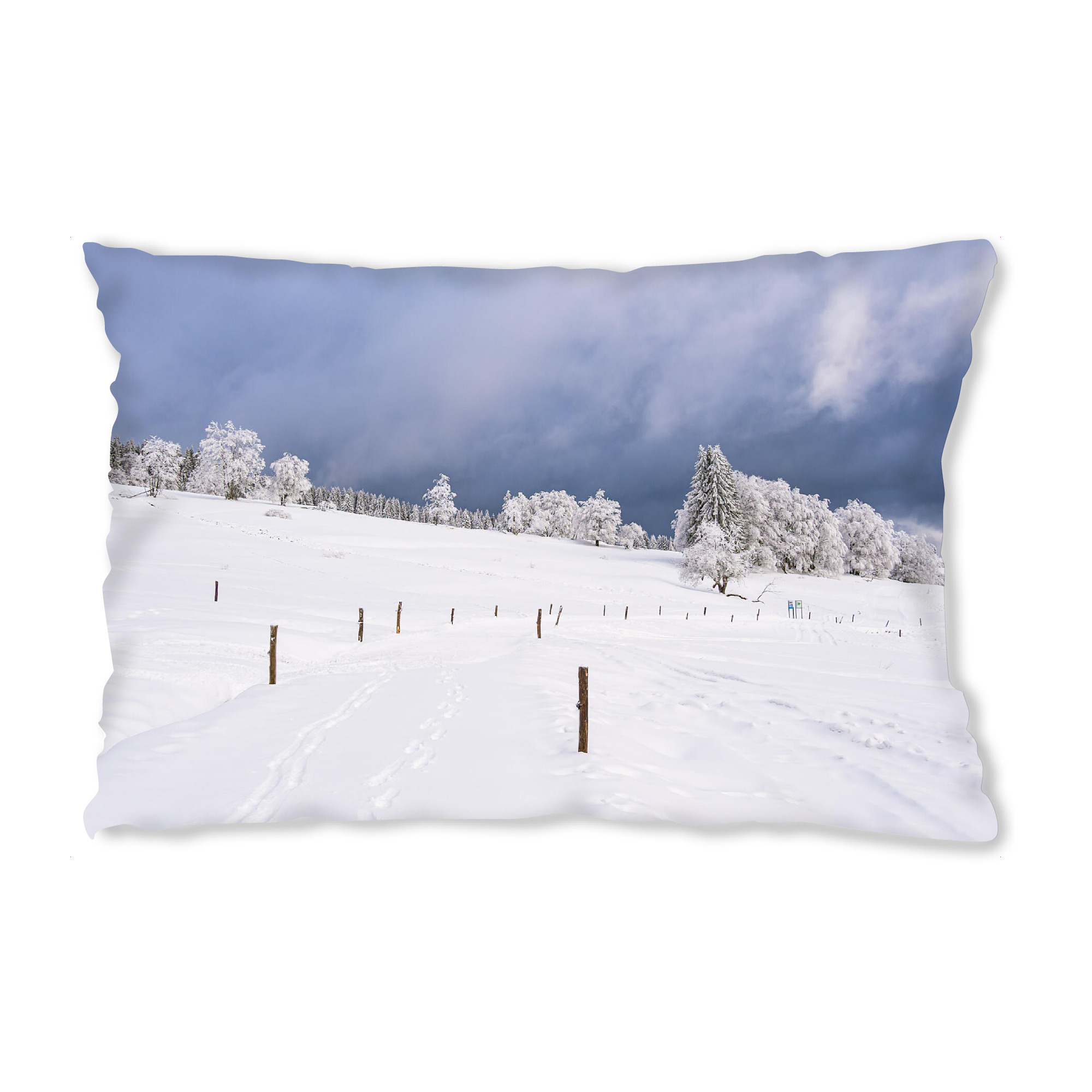 Design-Kissen "Landschaft mit Bäumen und Schnee" artboxONE - Natur,Reise