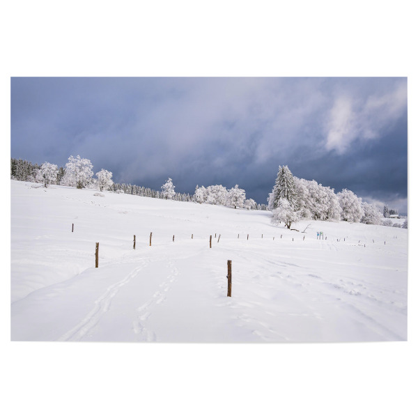 Poster "Landschaft mit Bäumen und Schnee" artboxONE - Natur,Reise