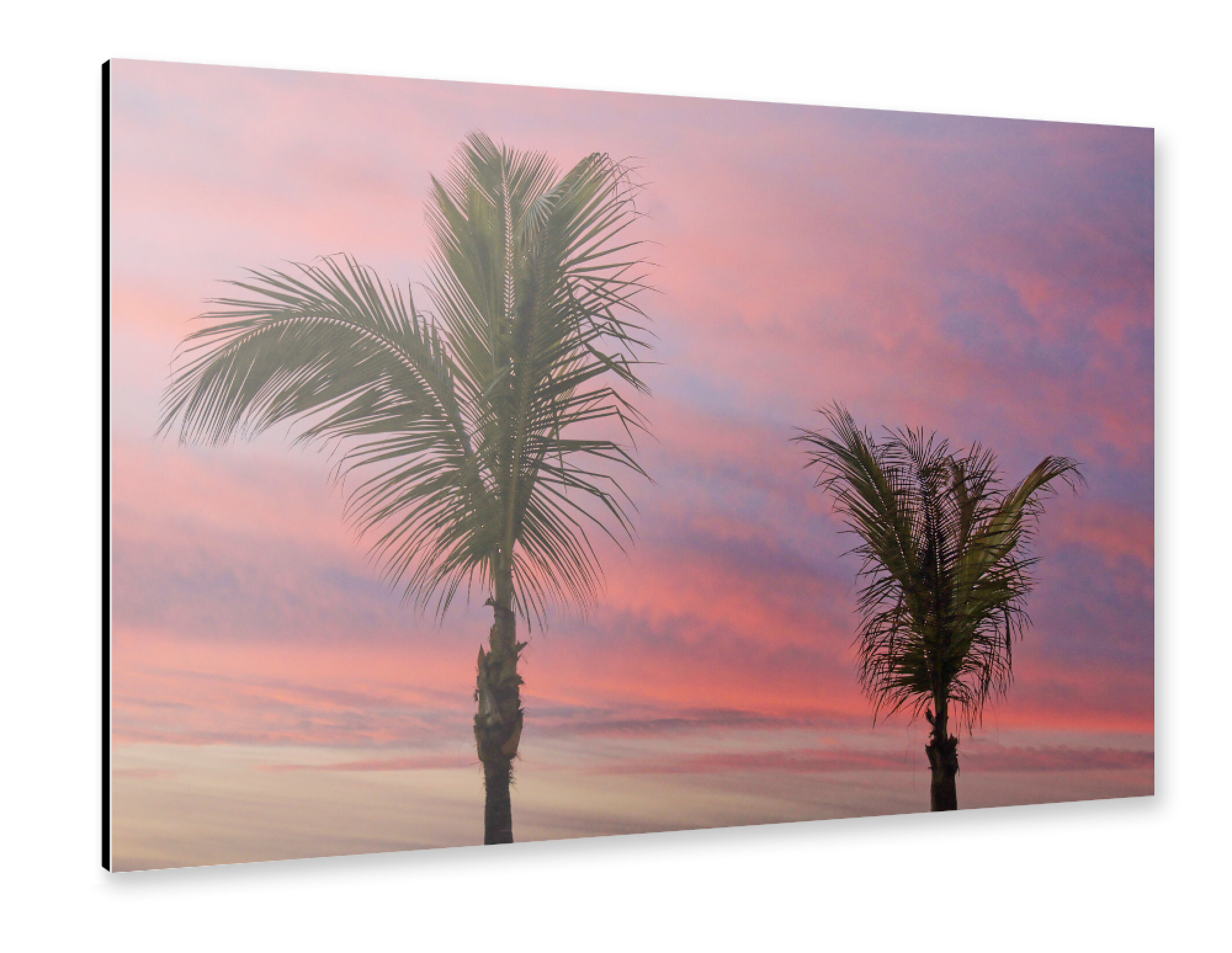 Alu-Dibond "Palmen vorm Sonnenuntergang-Himmel" 30x20 cm artboxONE