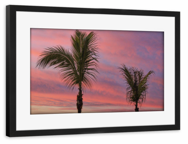 Poster mit Rahmen schwarz "Palmen vorm Sonnenuntergang-Himmel" artboxONE - Natur,Reise,Reise / Strand und Meer,Reise / Länder