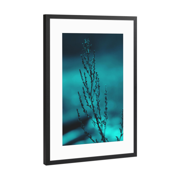 Poster mit Rahmen Schwarz (Metallic) "Winterpflanze" artboxONE - Natur