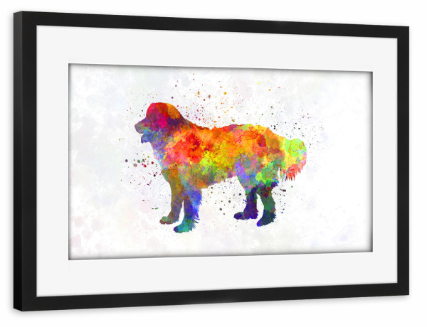 Poster mit Rahmen schwarz "Slovakian Chuvach in watercolor" artboxONE - Tiere,Abstrakt