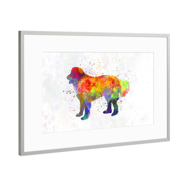 Poster mit Rahmen Silber "Slovakian Chuvach in watercolor" artboxONE - Tiere,Abstrakt