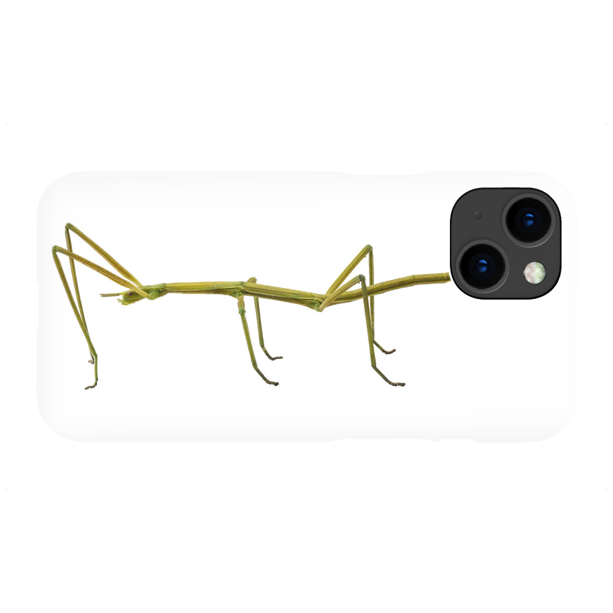 "Spanish Walking Stick insect"für iPhone - Premium-Case Handyhülle artboxONE