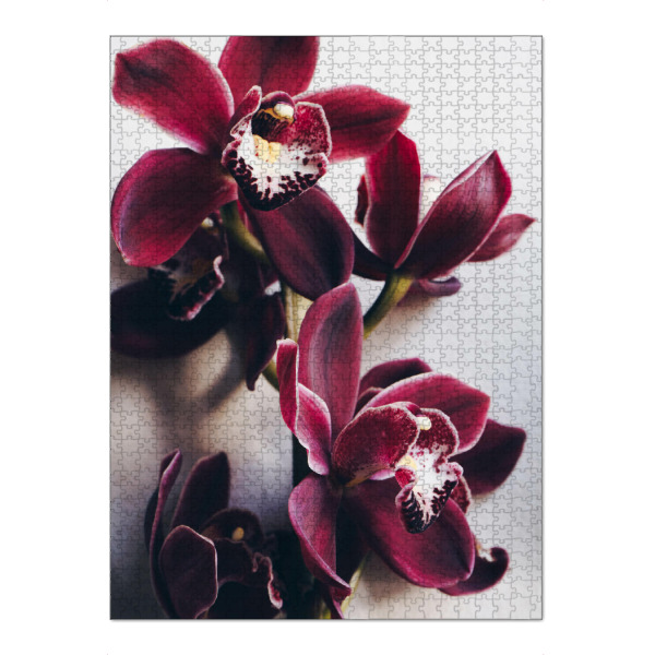 Puzzle Ravensburger "Red Cymbidium Orchid" artboxONE - Natur,Floral - Orchidee,Blumen,Feminin,Zart,Flowers,Floral,Natur,Nature - Bild orchidee
