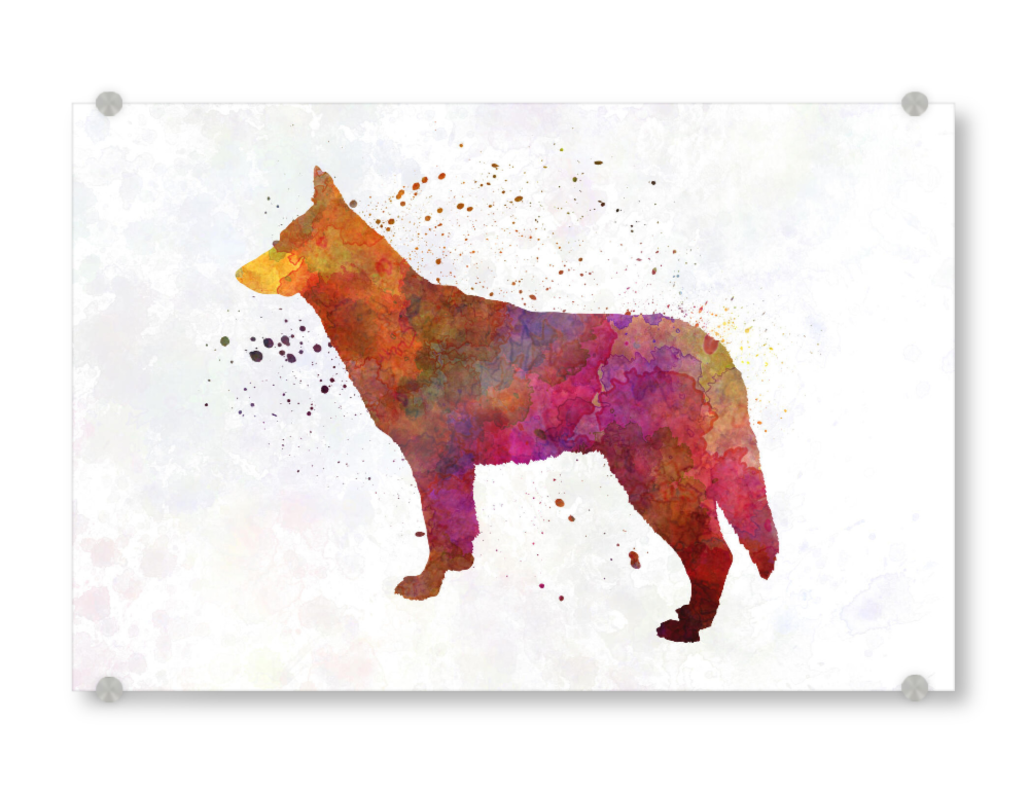 Acrylglasbild "Saarloos Wolfdog" artboxONE - Tiere,Abstrakt - Dog,Dogs,Pet,Animal,Mammal,Watercolor,Illustration,Abstract,Hund,Bunt,Colorful