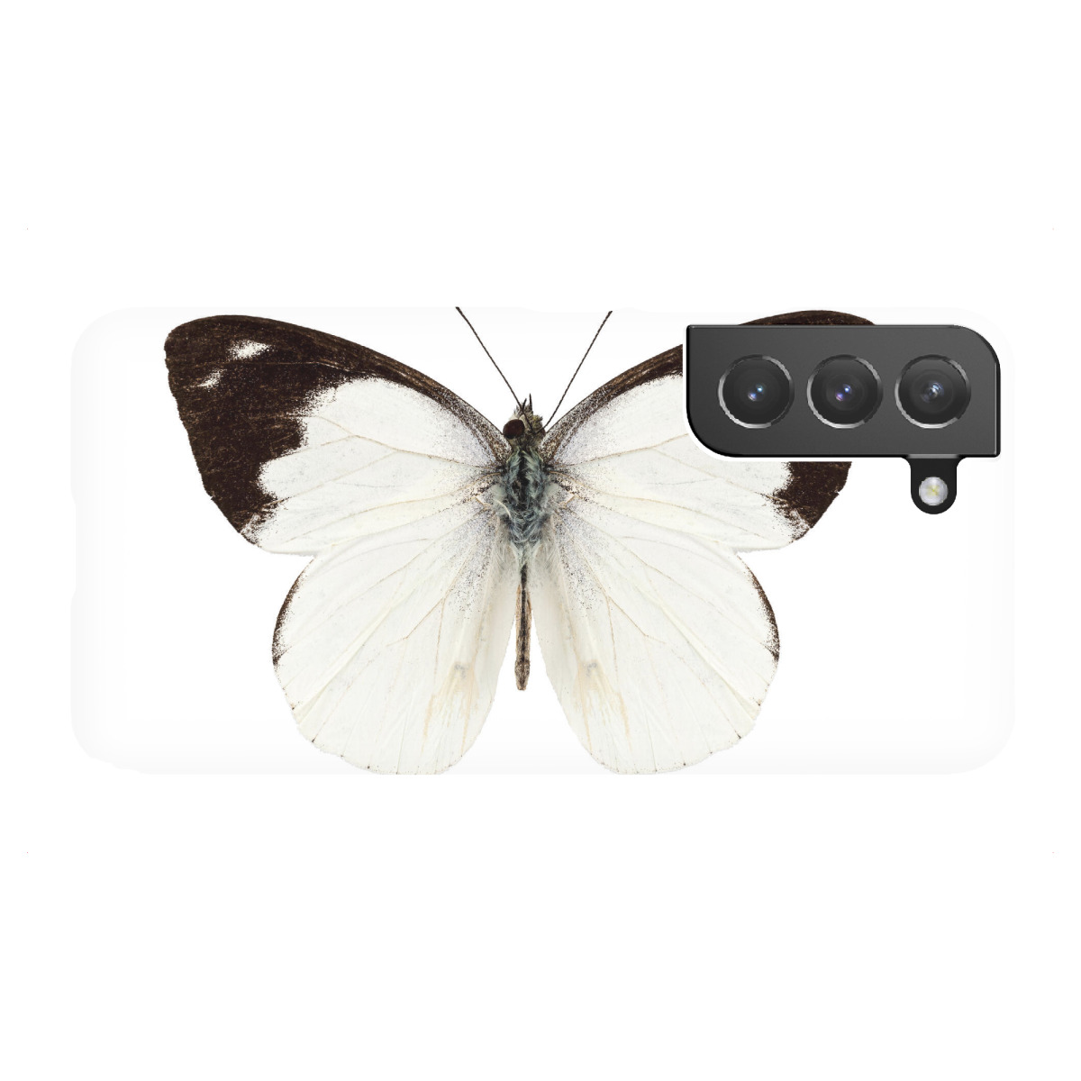 "White butterfly species Apias"für Samsung Galaxy - Premium-Case Handyhülle artboxONE