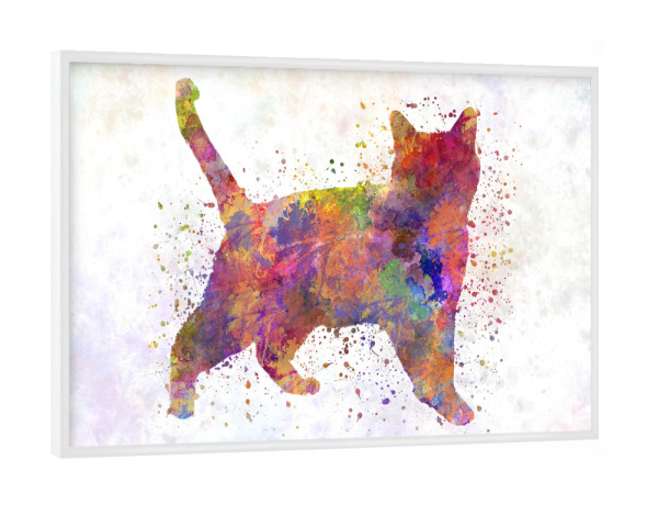 Poster mit weißem Rahmen "Russian blue in watercolor" artboxONE - Tiere,Abstrakt
