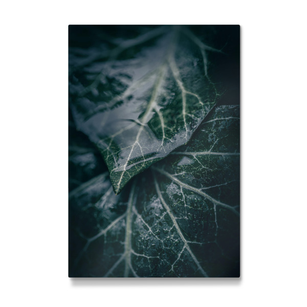 Galerie-Print "Wet Ivy" 30x20 cm artboxONE