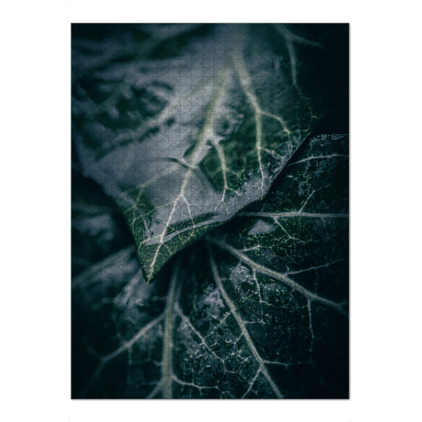 Puzzle Ravensburger "Wet Ivy" artboxONE - Natur,Floral