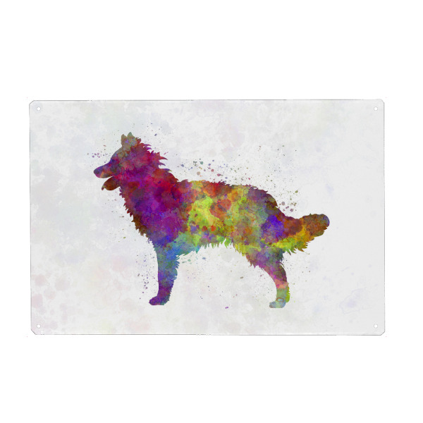 Metall Poster "Mudi in watercolor" artboxONE - Tiere,Abstrakt - Dog,Pet,Animal,Mammal,Watercolor,Illustration,Abstract,Hund,Bunt,Colorful