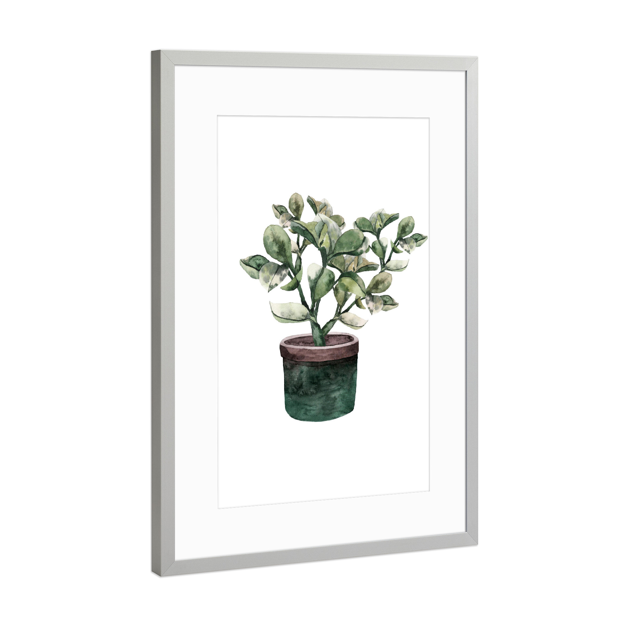 Poster mit Rahmen Silber "Potted Plantfriend" artboxONE - Natur,Floral