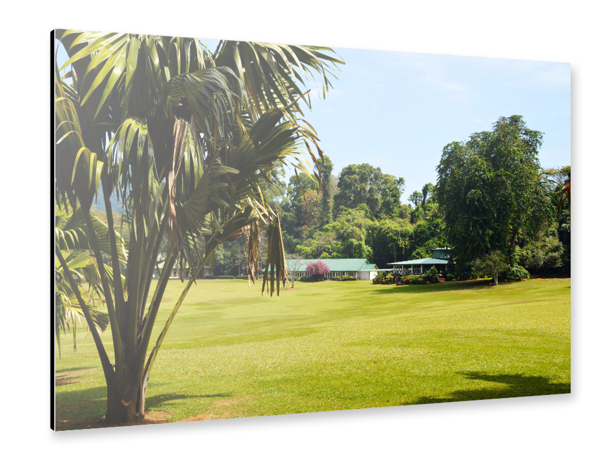 Alu-Dibond "Royal Botanical Garden, Kandy" 75x50 cm artboxONE