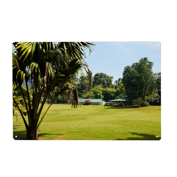 Metall Poster "Royal Botanical Garden, Kandy" artboxONE - Reise,Reise / Asien,Reise / Länder