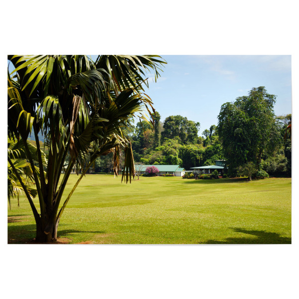 Poster "Royal Botanical Garden, Kandy" artboxONE - Reise,Reise / Asien,Reise / Länder
