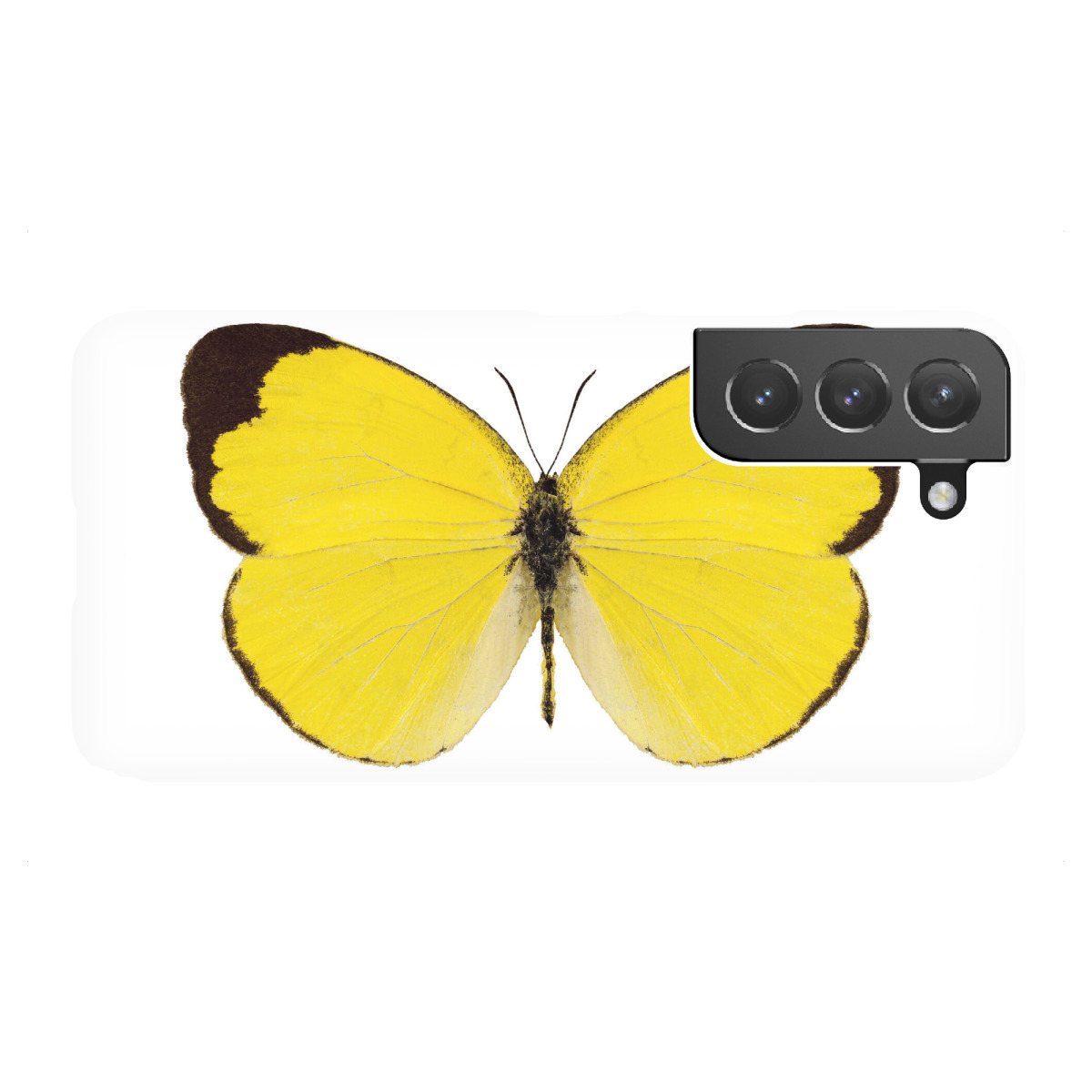 Samsung Galaxy "Butterfly species Eurema" Premium-Case Handyhülle artboxONE