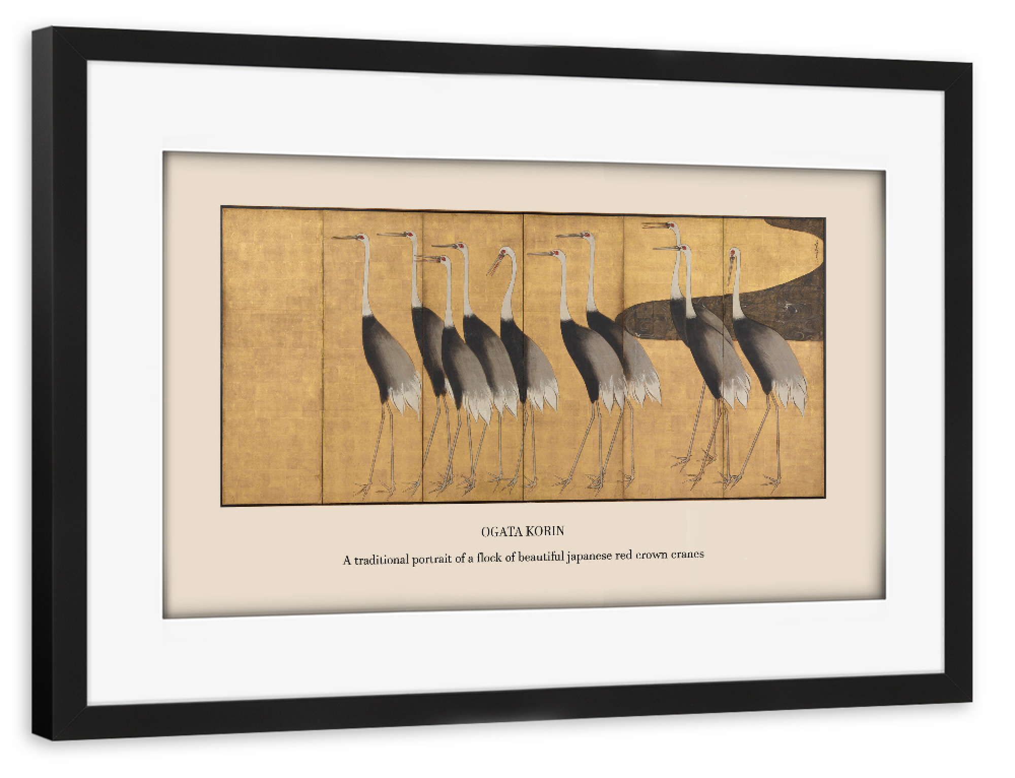 Poster mit Rahmen schwarz "Herde roter Königskraniche" artboxONE - Natur,Tiere