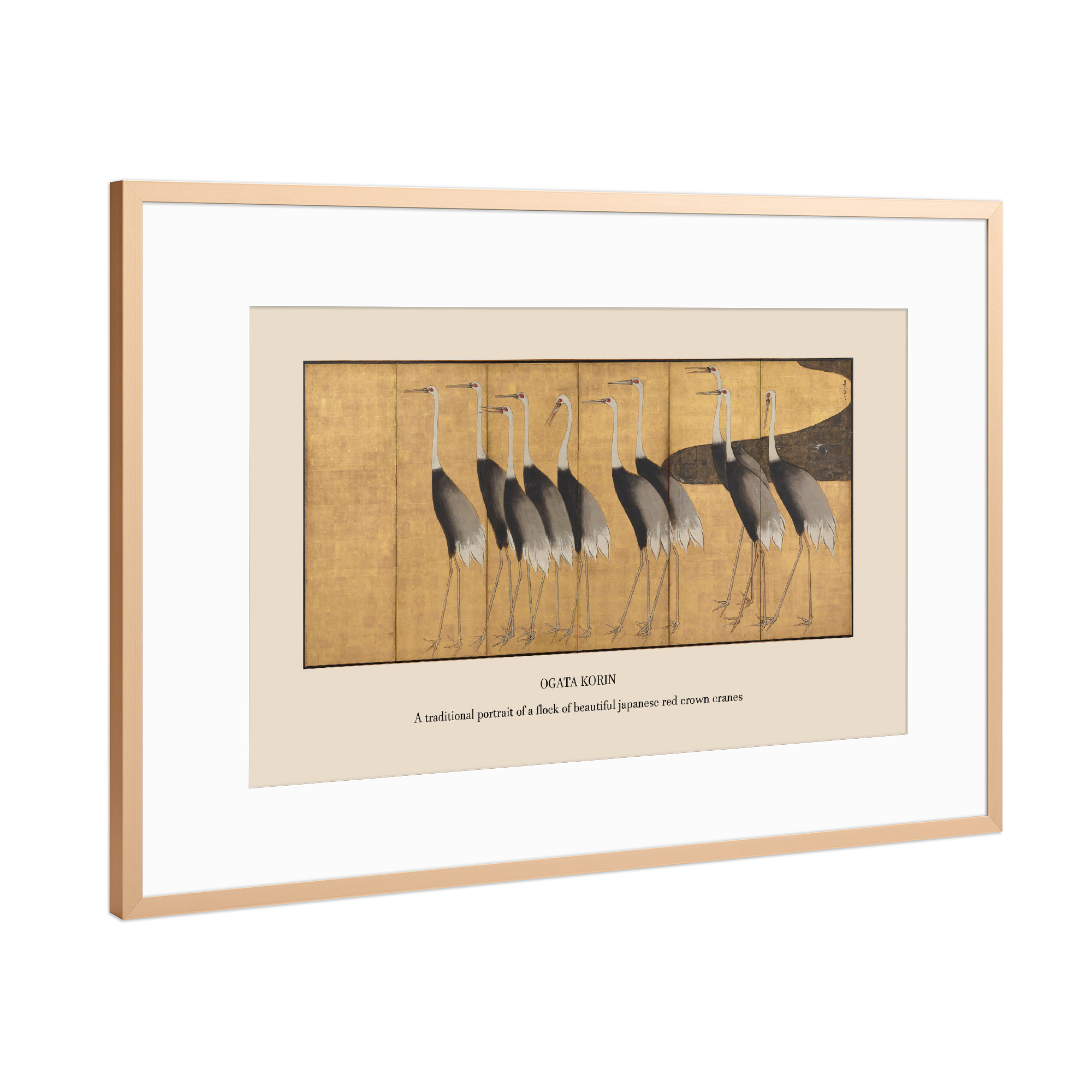 Poster mit Rahmen Kupfer "Herde roter Königskraniche" artboxONE - Natur,Tiere
