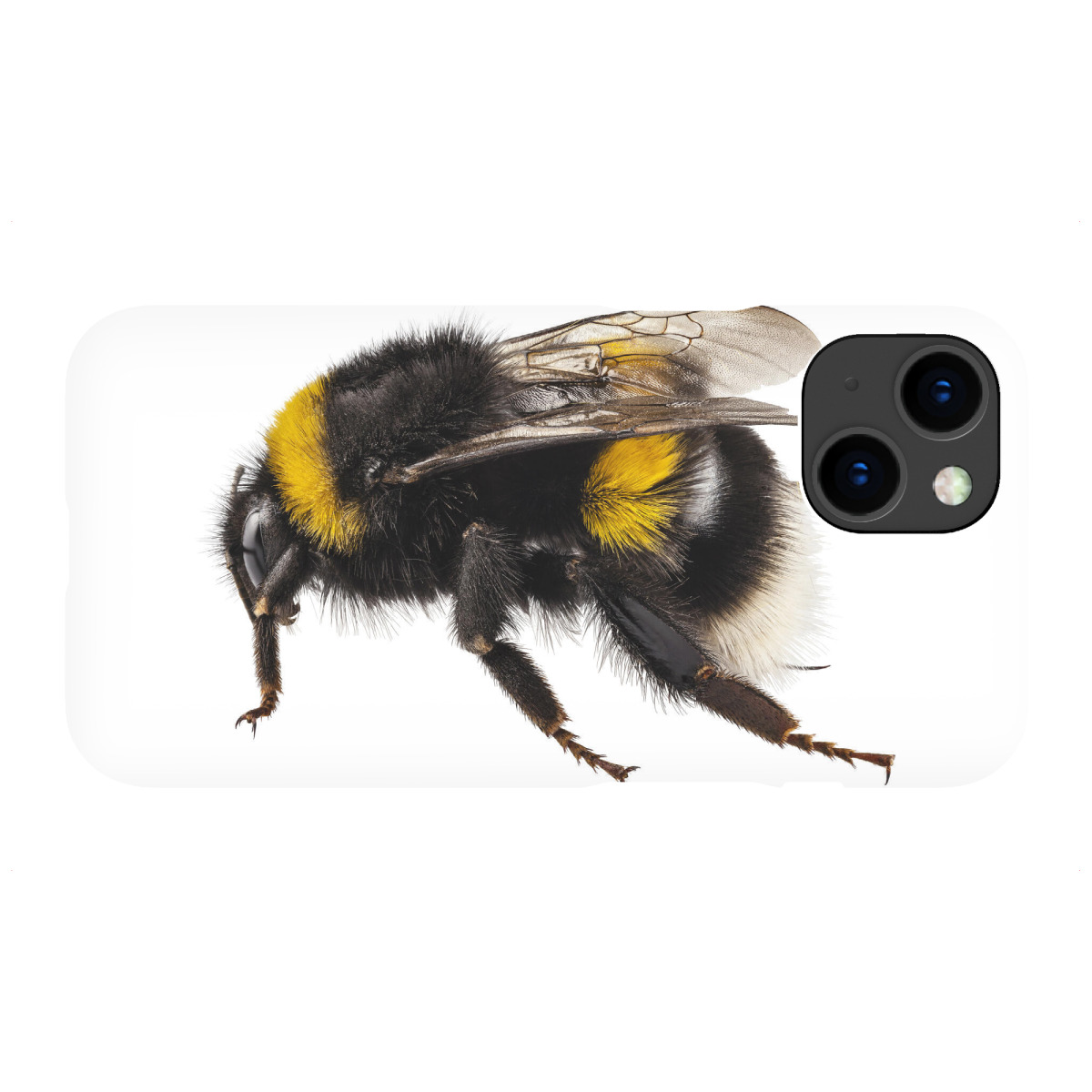 "Bumblebee species Bombus"für iPhone - Premium-Case Handyhülle artboxONE