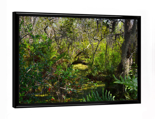 Poster mit schwarzem Rahmen "Sumpf in den Everglades" artboxONE - Natur,Reise,Reise / Länder