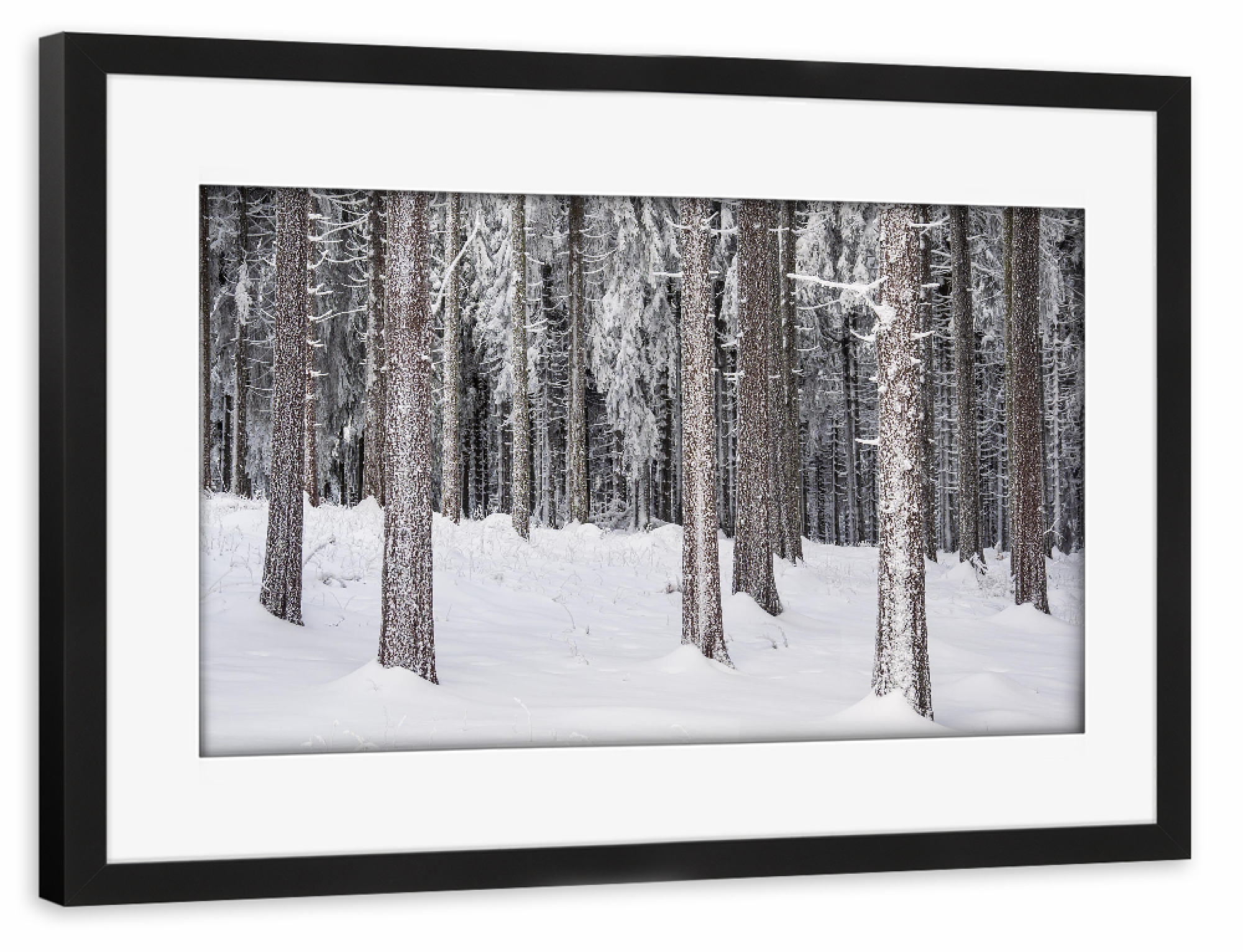 Poster mit Rahmen schwarz "Bäume im Schnee" artboxONE - Natur,Reise