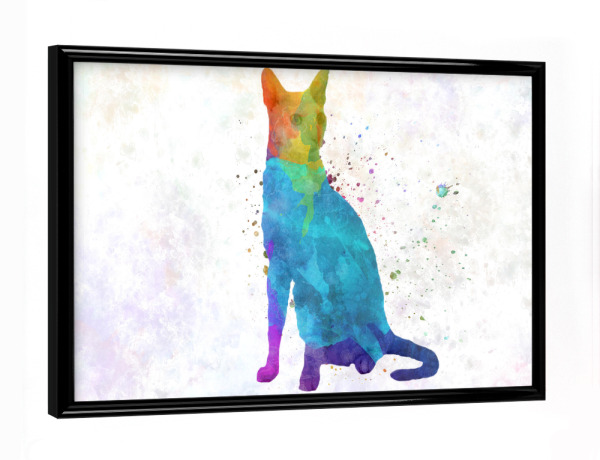 Poster mit schwarzem Rahmen "Cornish rex in watercolor" artboxONE - Tiere,Abstrakt