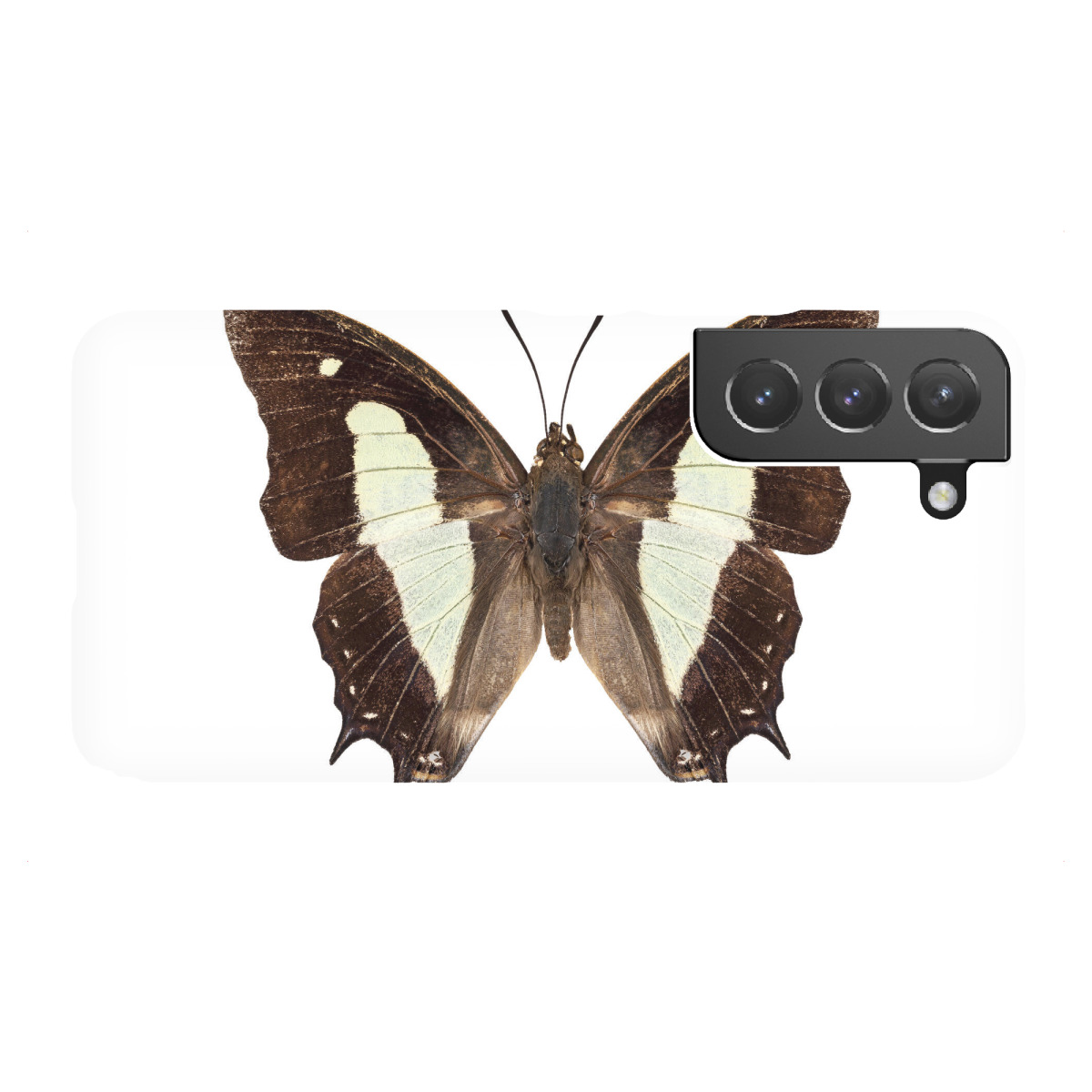 "Polyura athamas athamas"für Samsung Galaxy - Premium-Case Handyhülle artboxONE