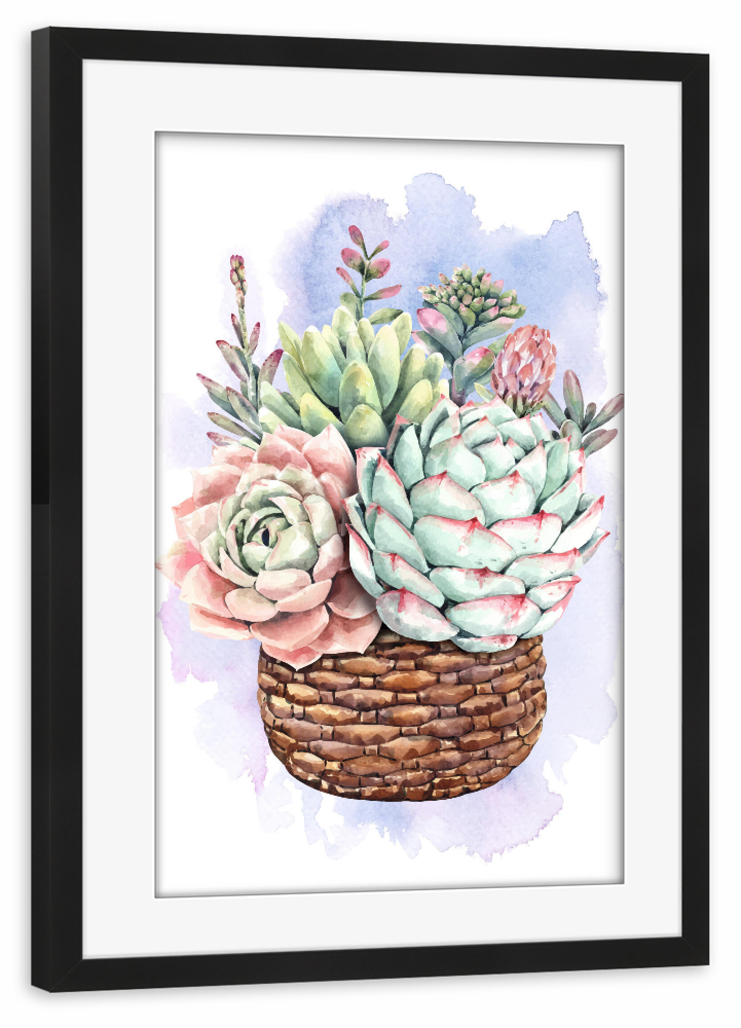 Poster mit Rahmen schwarz "Sukkulenten im Flechtkorb" artboxONE - Natur,Floral - Blume,Blüte,Pflanze,Korb,Flora,Plant,Flowers,Bunt,Colorful