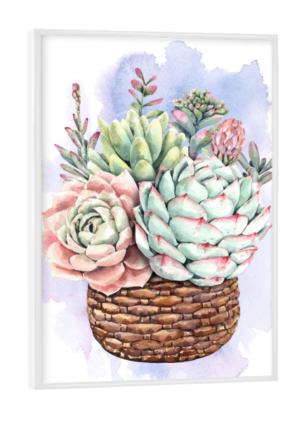 Poster mit weißem Rahmen "Sukkulenten im Flechtkorb" artboxONE - Natur,Floral - Blume,Blüte,Pflanze,Korb,Flora,Plant,Flowers,Bunt,Colorful