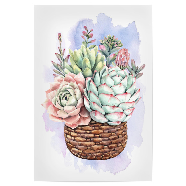 Poster 30x20 cm "Sukkulenten im Flechtkorb" artboxONE - Natur,Floral - Blume,Blüte,Pflanze,Korb,Flora,Plant,Flowers,Bunt,Colorful