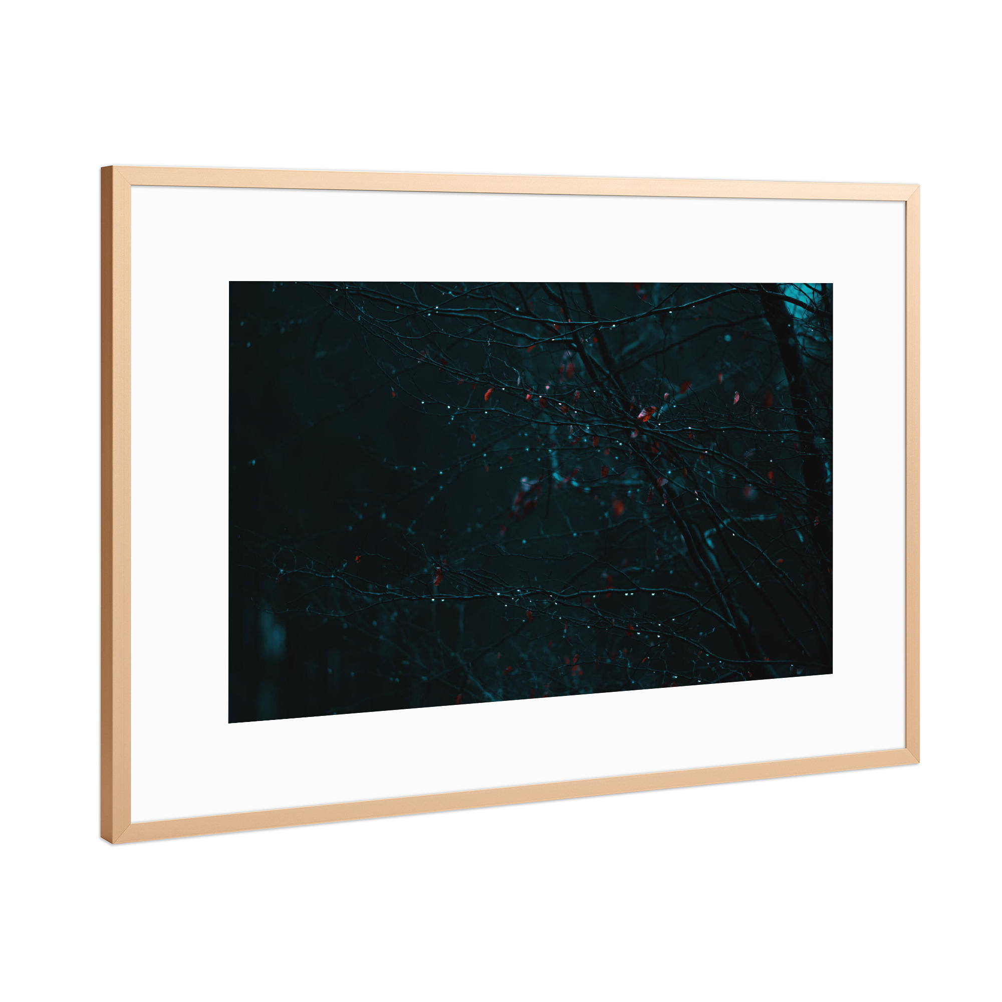 Poster mit Rahmen Kupfer "Verregnete Äste" artboxONE - Natur