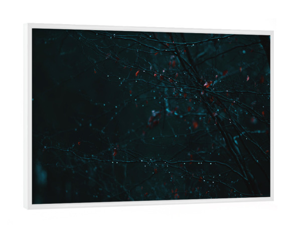 Poster mit weißem Rahmen "Verregnete Äste" artboxONE - Natur