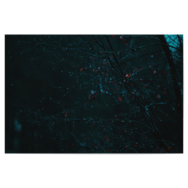 Poster 30x20 cm "Verregnete Äste" artboxONE - Natur