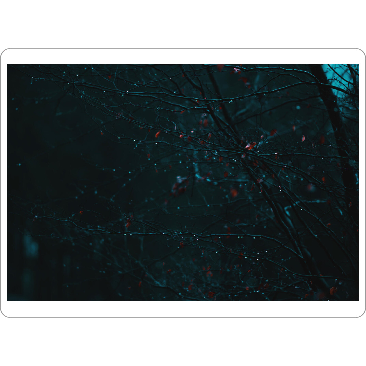 Tischset "Verregnete Äste" artboxONE - Natur