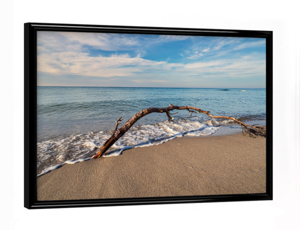 Poster mit schwarzem Rahmen "Sandstrand, Baumstamm und Ostsee" artboxONE - Natur,Reise,Reise / Strand und Meer