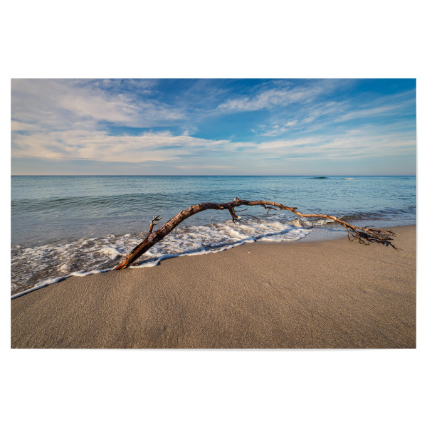 Poster 30x20 cm "Sandstrand, Baumstamm und Ostsee" artboxONE - Natur,Reise,Reise / Strand und Meer