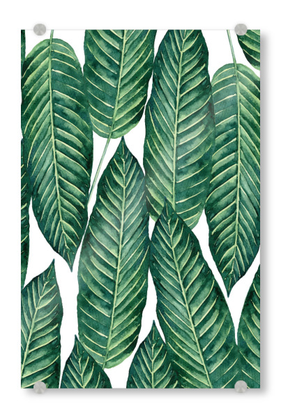 Acrylglasbild "Hello Freshness" artboxONE - Natur