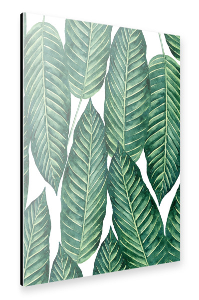 Alu-Dibond "Hello Freshness" 30x20 cm artboxONE