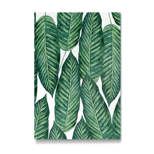 Galerie-Print "Hello Freshness" 30x20 cm artboxONE