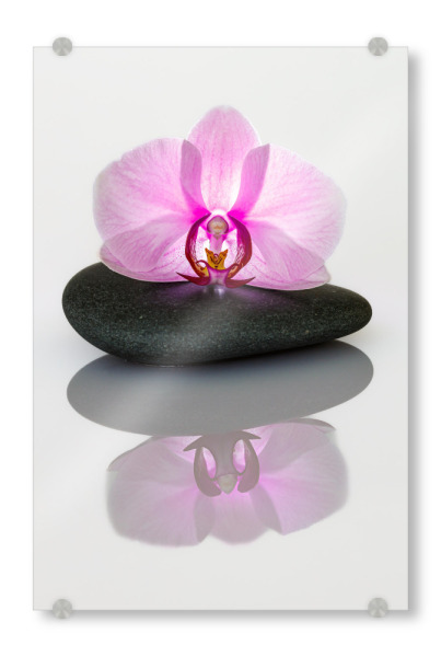 Acrylglasbild "Orchideen Spiegelung" artboxONE - Natur,Floral