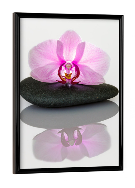 Poster mit schwarzem Rahmen "Orchideen Spiegelung" artboxONE - Natur,Floral