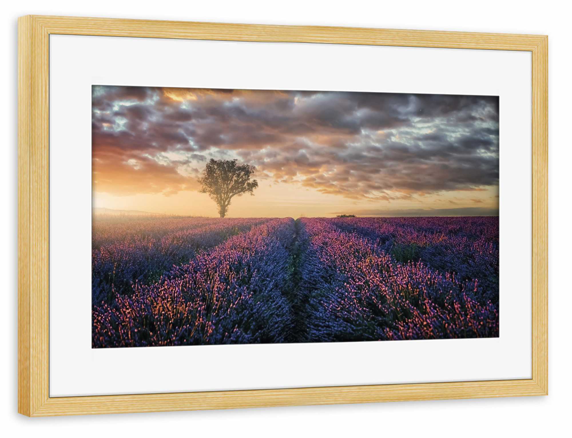 Poster mit Rahmen kiefer "Last Lights" artboxONE - Natur,Reise,Liebe,Reise / Länder,Für Mama